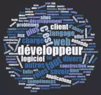 Nuage de mots correspondant à CDI45