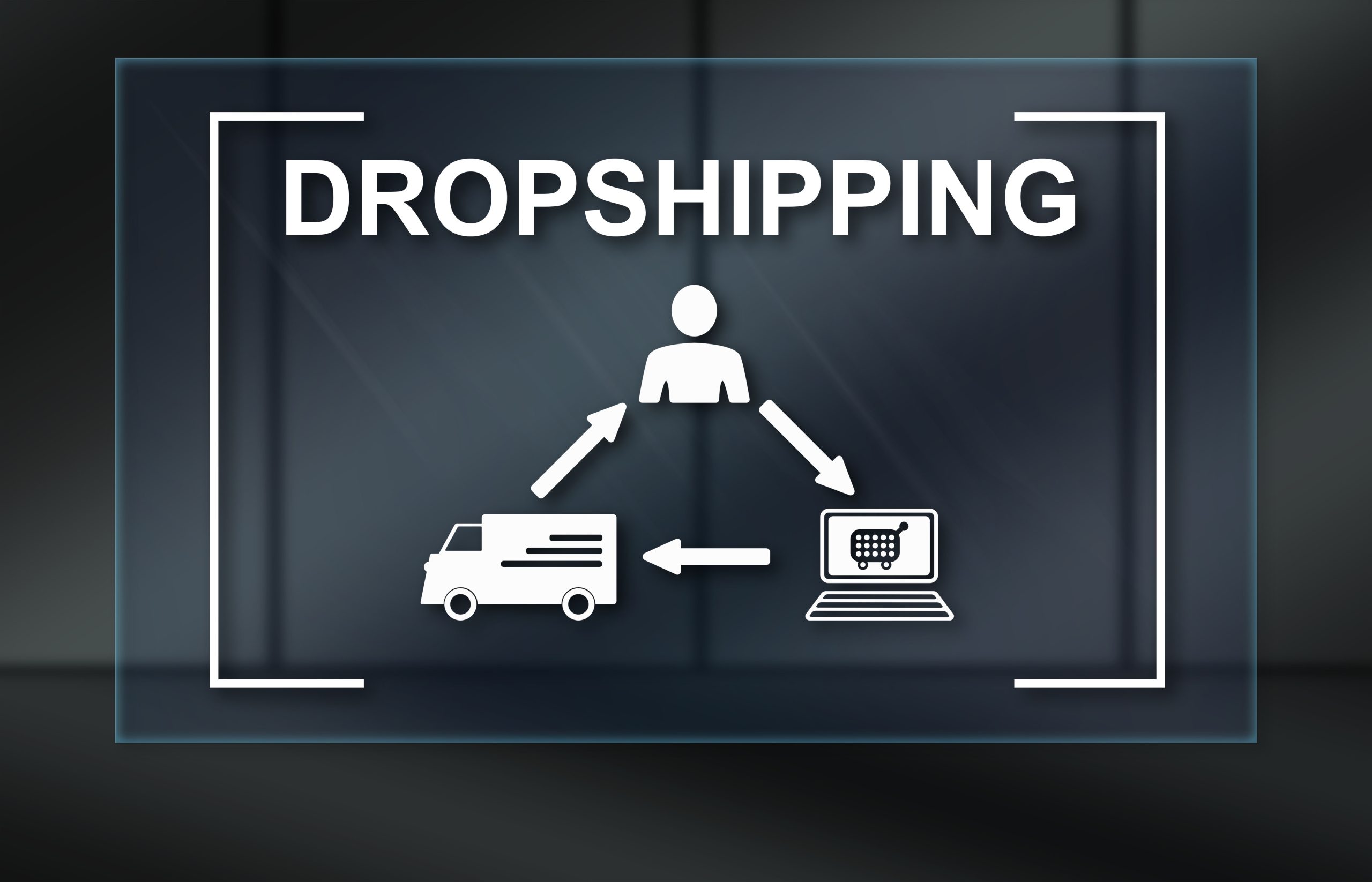 Boutique de Dropshipping avec Dropizi - CDI45
